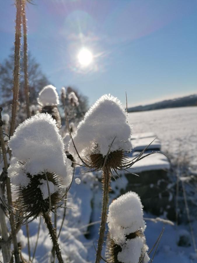 Landgasthof Plohnbachtal Ug Hotel Lengenfeld  Bagian luar foto